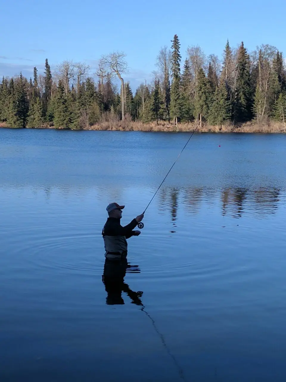 A man fishing in the water with trees in the background.